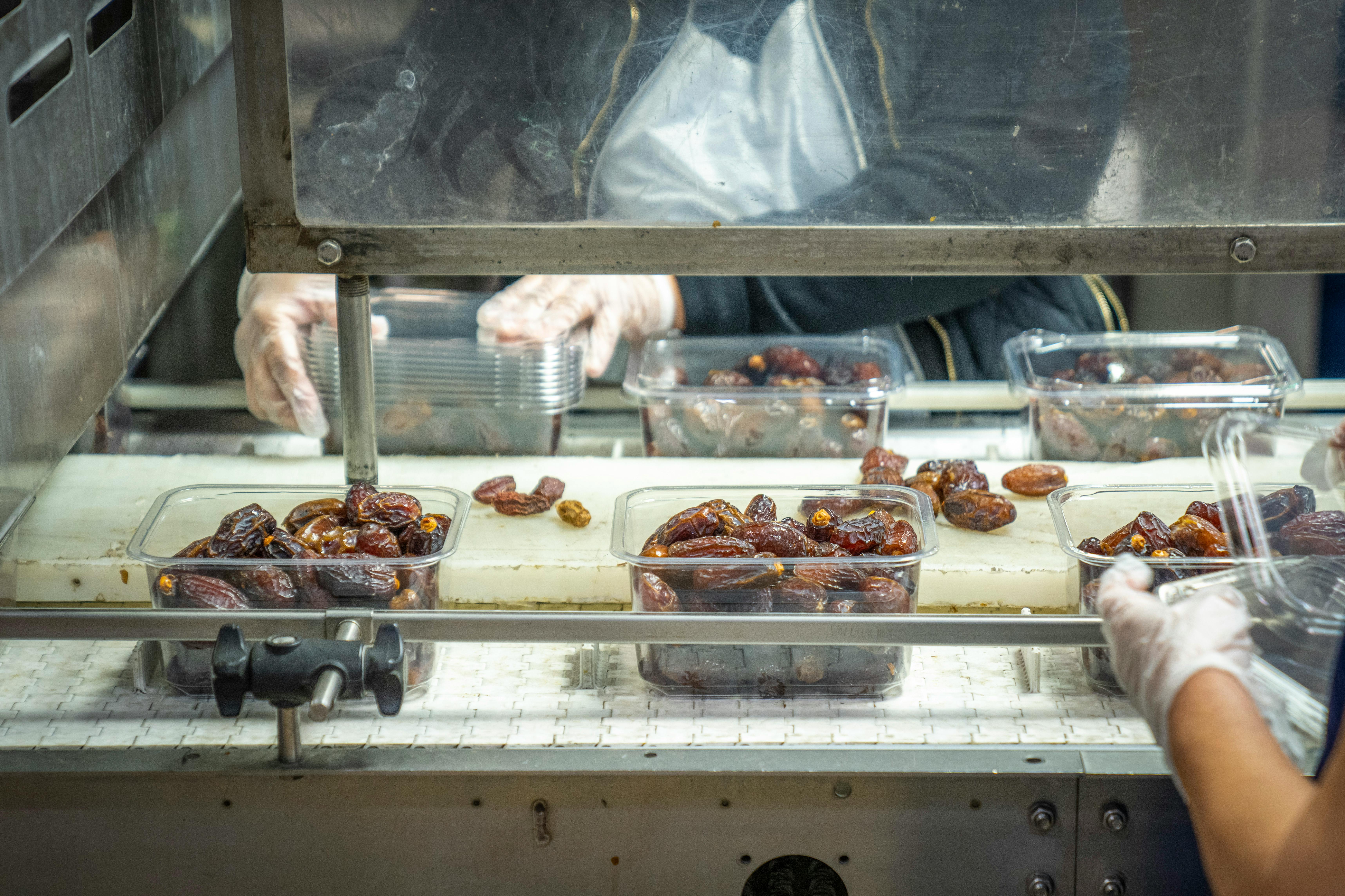 Food Processing